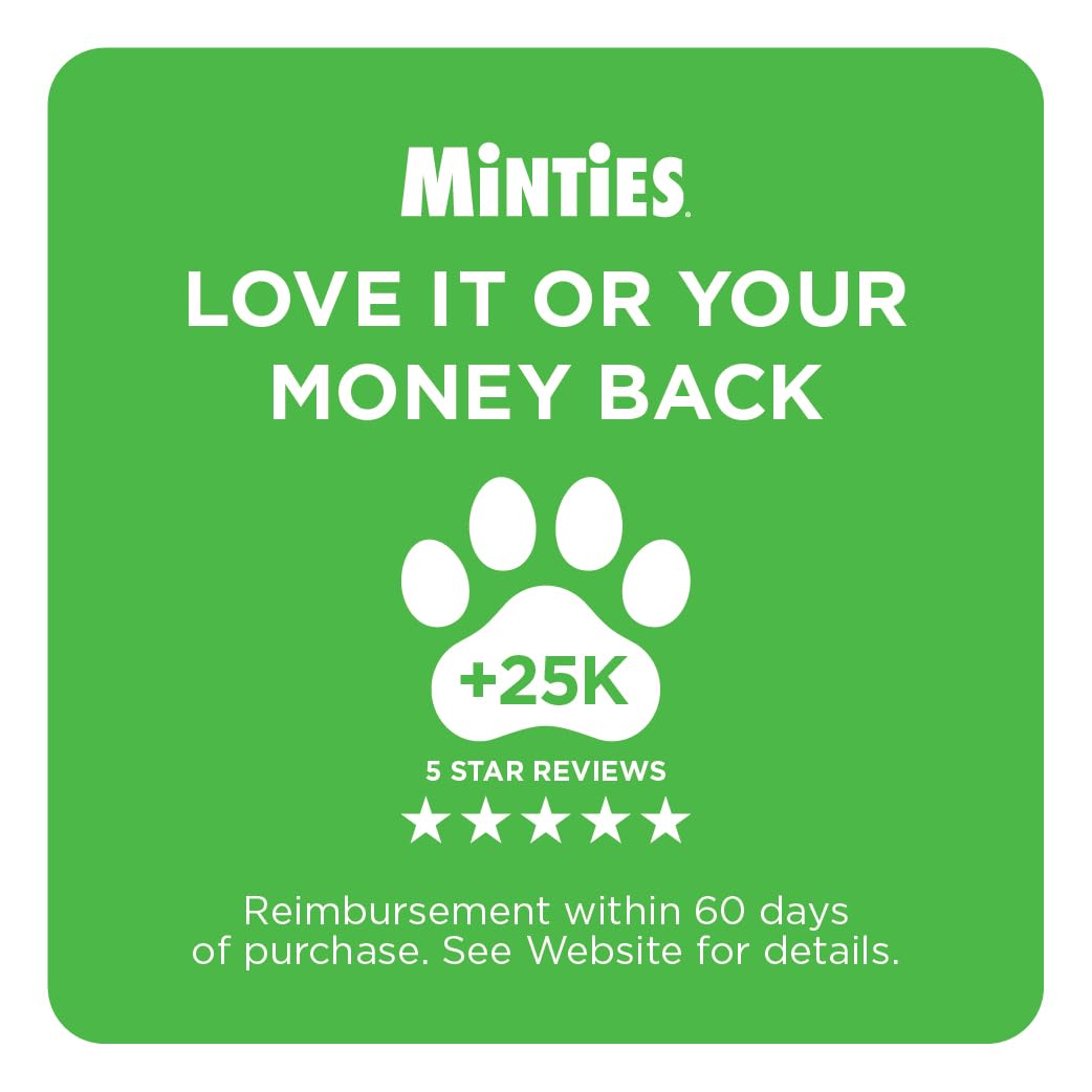 Mint Dental Chews for Dogs, 40 Ct L12456