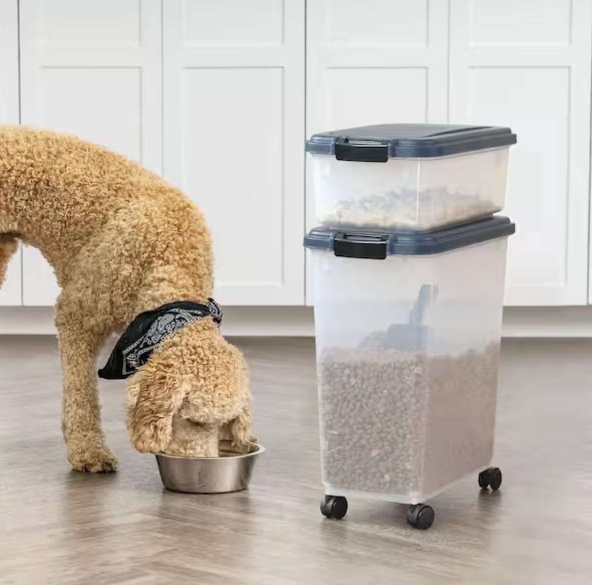 Airtight Pet Food Storage Combo with Scoop A50201