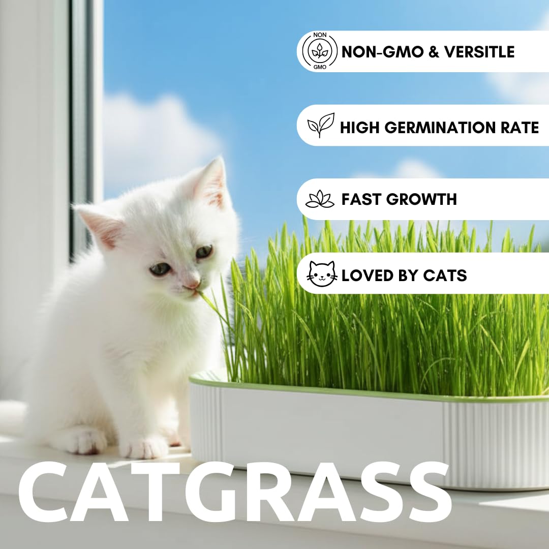 Hydroponic Cat Grass Grow Kit with 2 Oz Non-GMO Seeds S22915