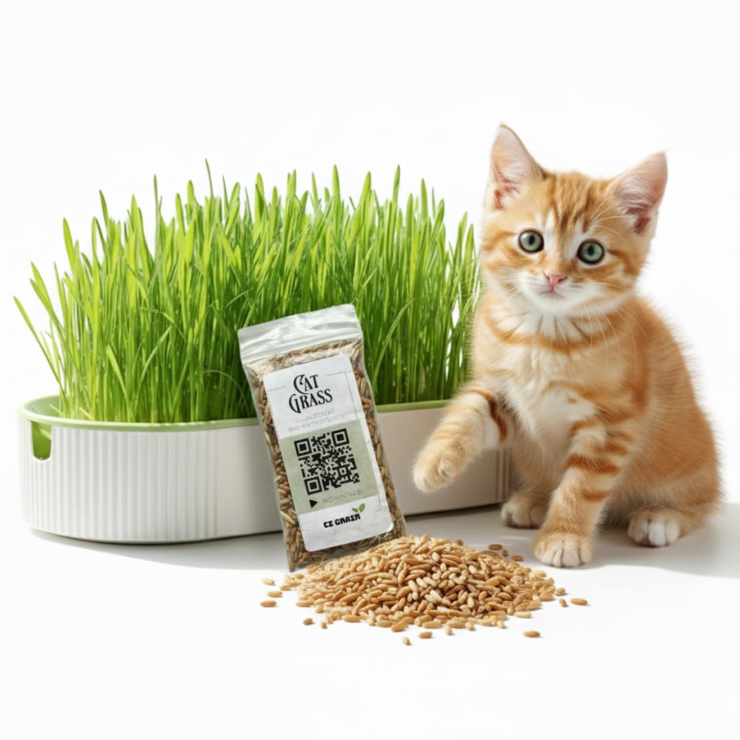 Hydroponic Cat Grass Grow Kit with 2 Oz Non-GMO Seeds S22915