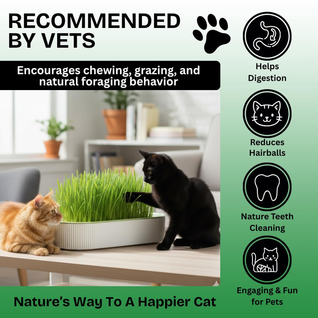 Hydroponic Cat Grass Grow Kit with 2 Oz Non-GMO Seeds S22915