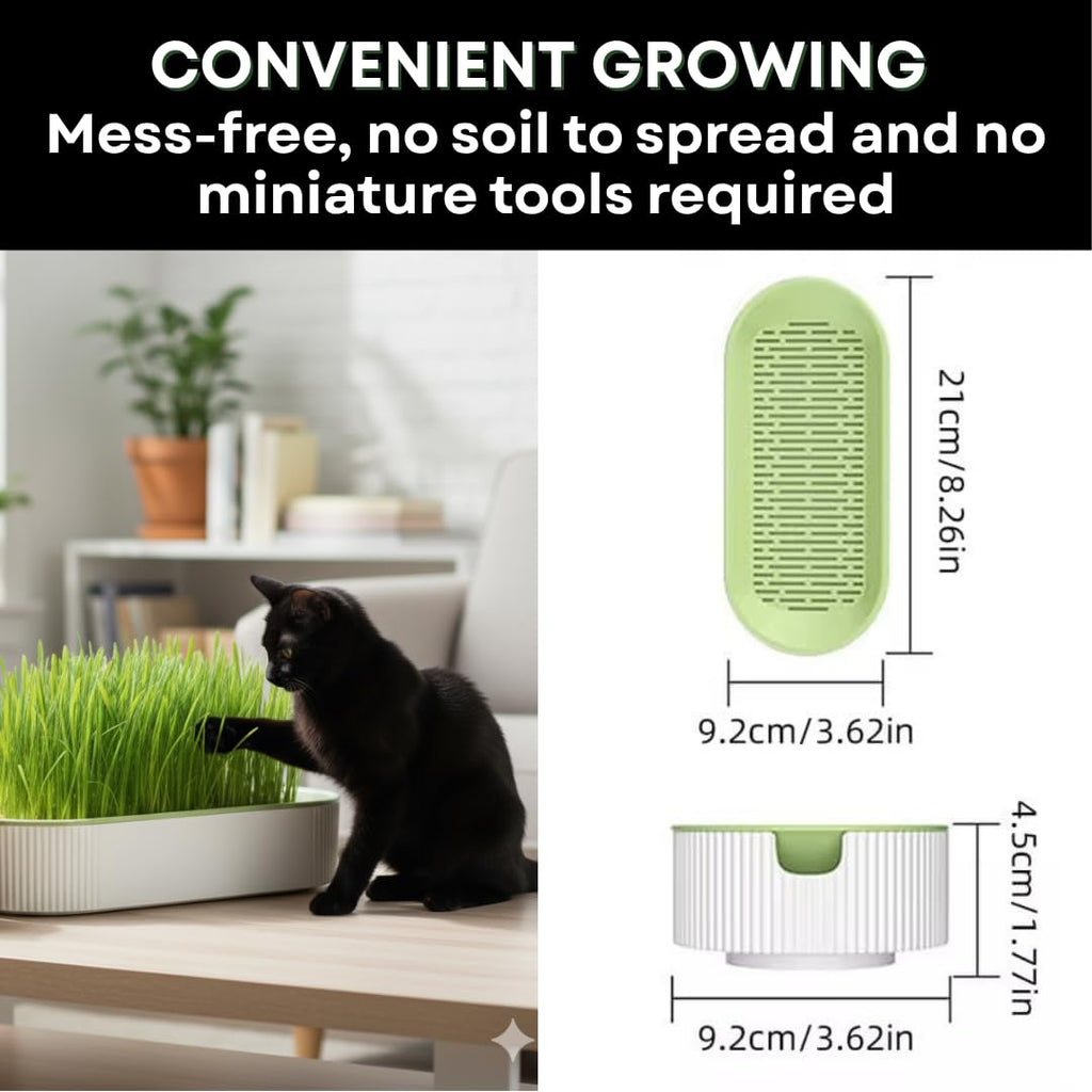 Hydroponic Cat Grass Grow Kit with 2 Oz Non-GMO Seeds S22915