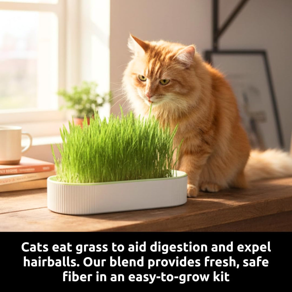Hydroponic Cat Grass Grow Kit with 2 Oz Non-GMO Seeds S22915