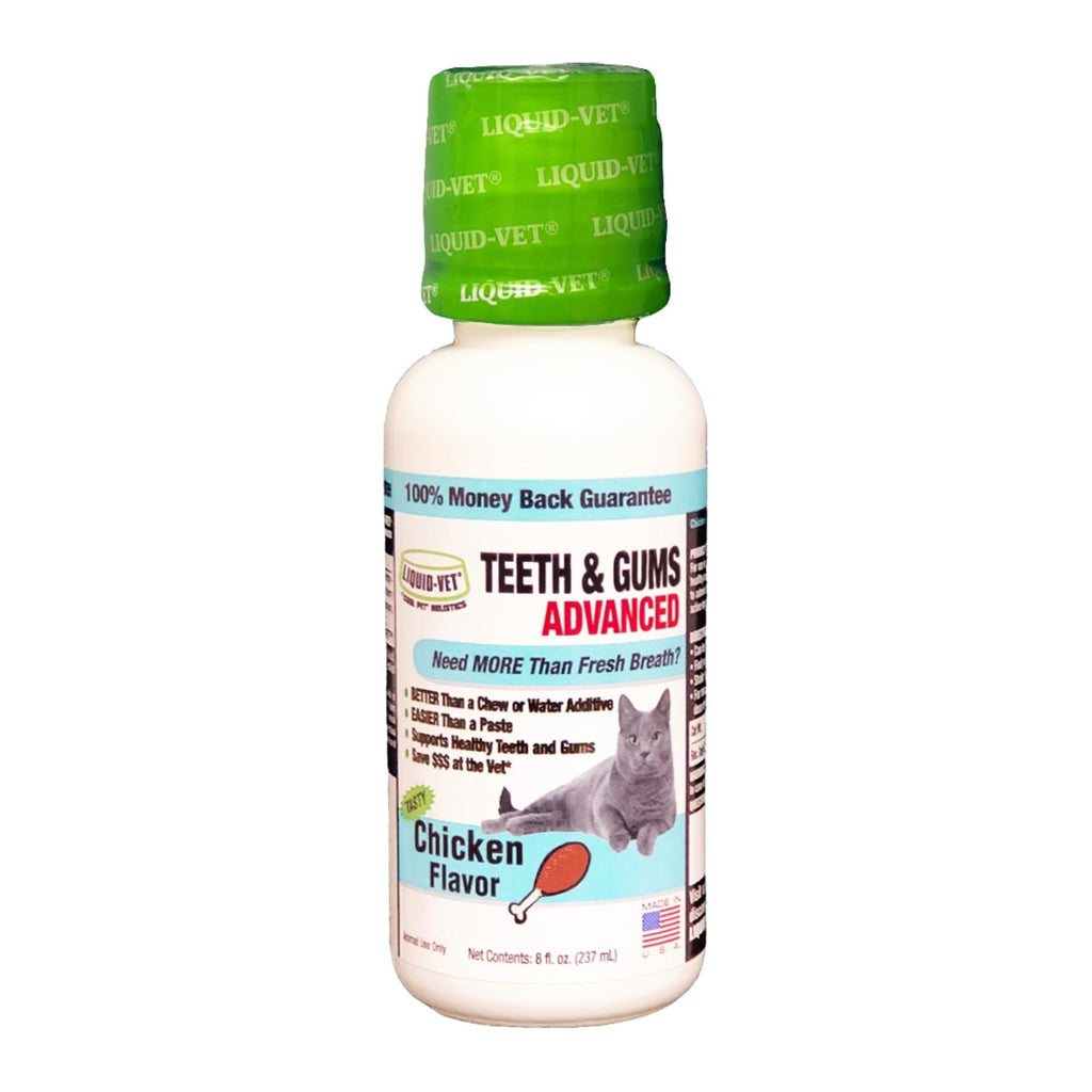 Cat Teeth Cleaning Dental Care X642