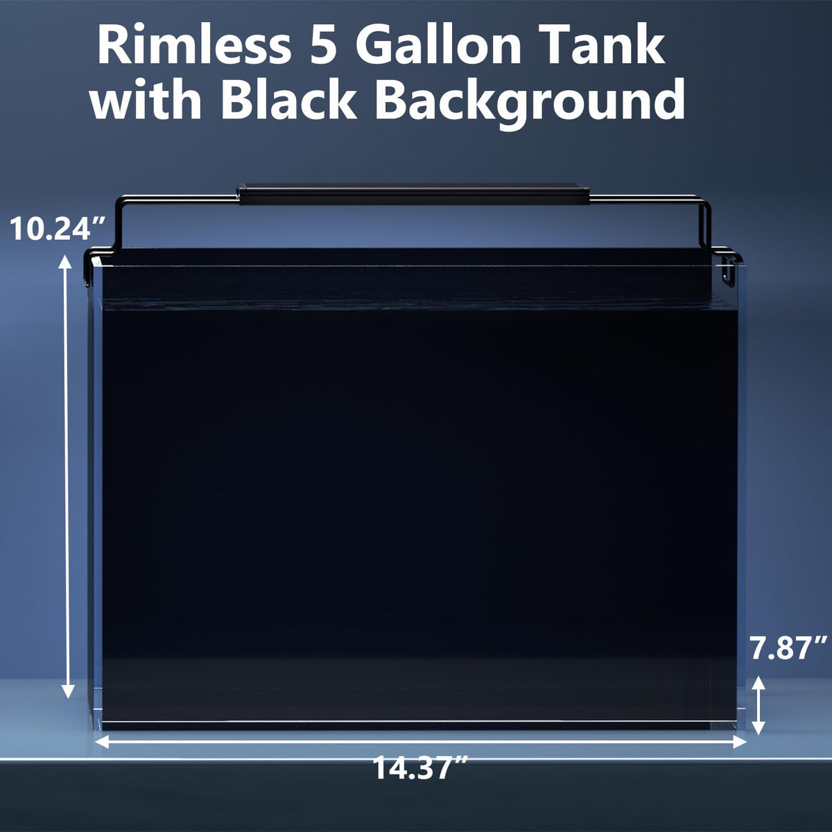 5 Gallon Glass Fish Tank Kit with Filter Light M1468