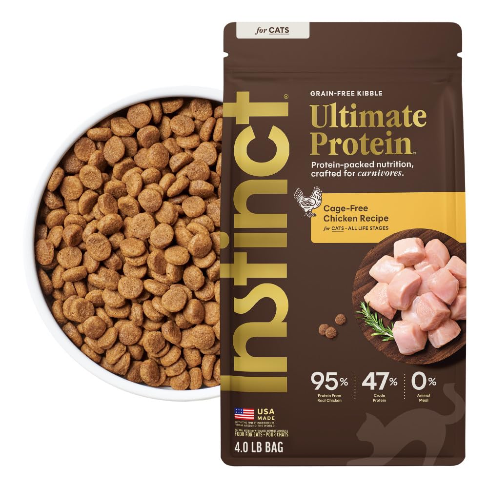 Chicken Dry Cat Food 4 lb. Bag V191112