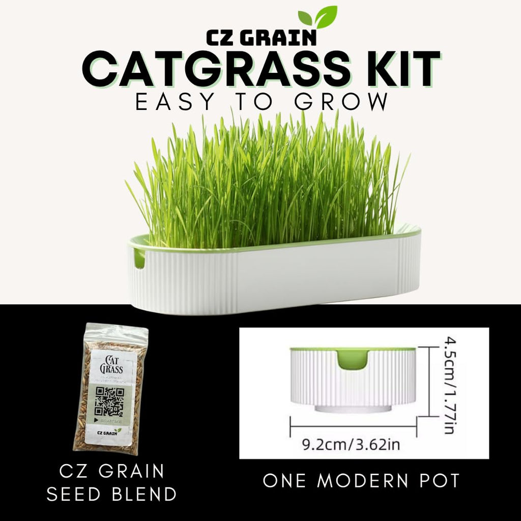 Hydroponic Cat Grass Grow Kit with 2 Oz Non-GMO Seeds S22915