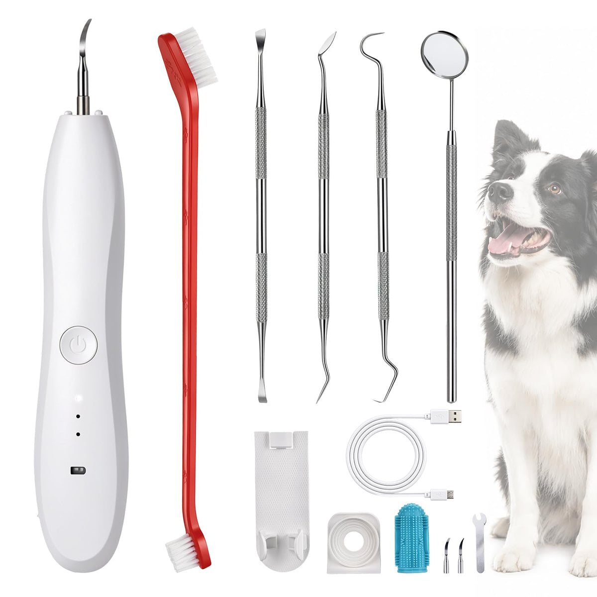Dog Tartar Ultrasonic Teeth Cleaning Kit S417919