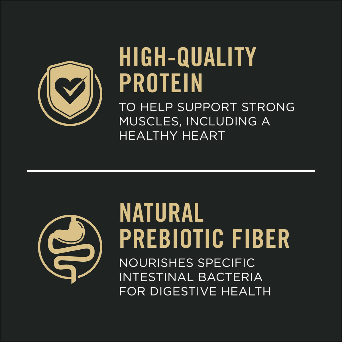 Salmon and Rice Dry Dog Food with Probiotics 15 lb Y40615
