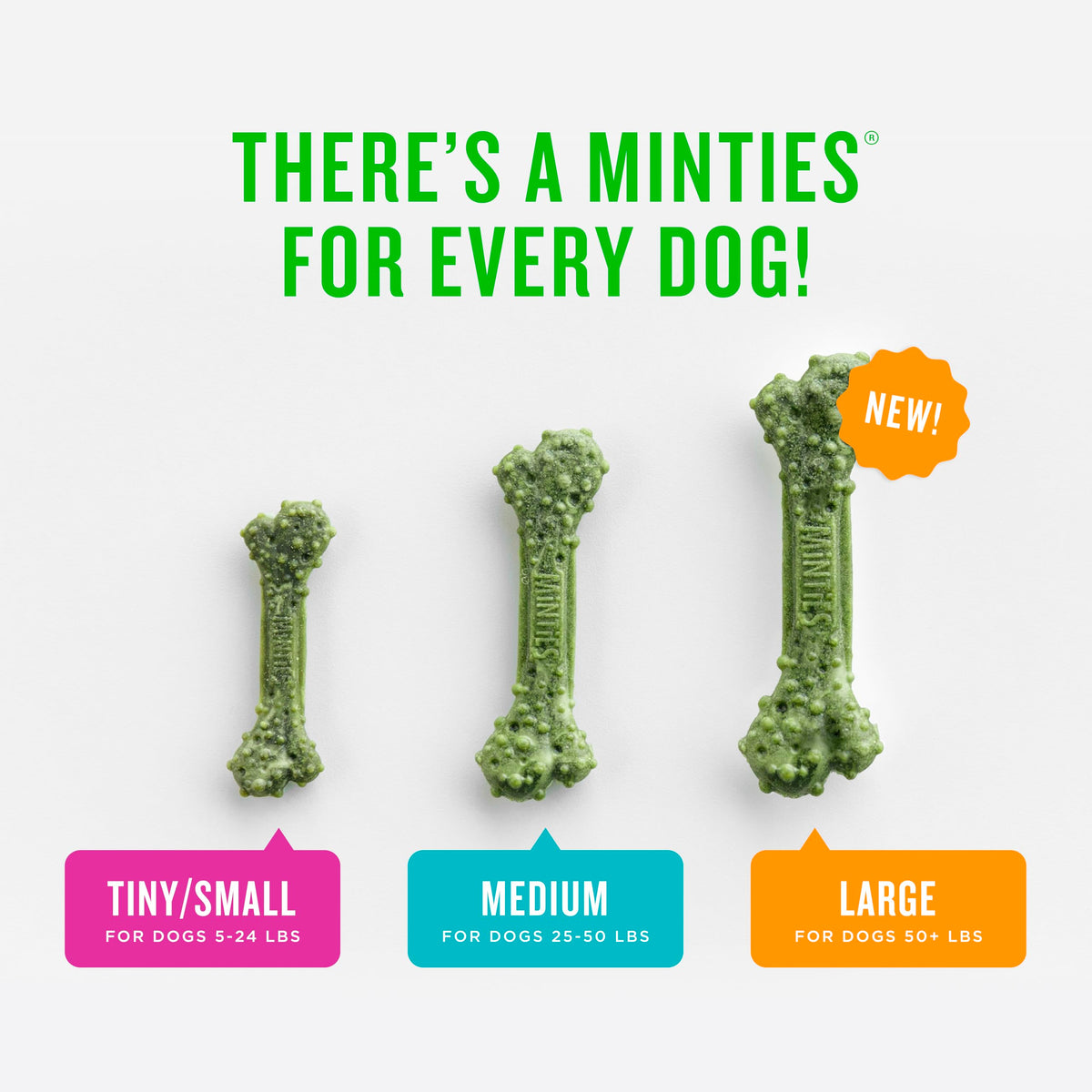 Mint Dental Chews for Dogs, 40 Ct L12456
