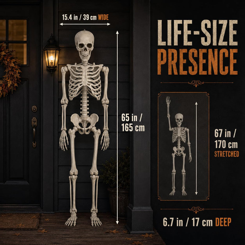 Life Size Poseable Skeleton with Movable Joints D765