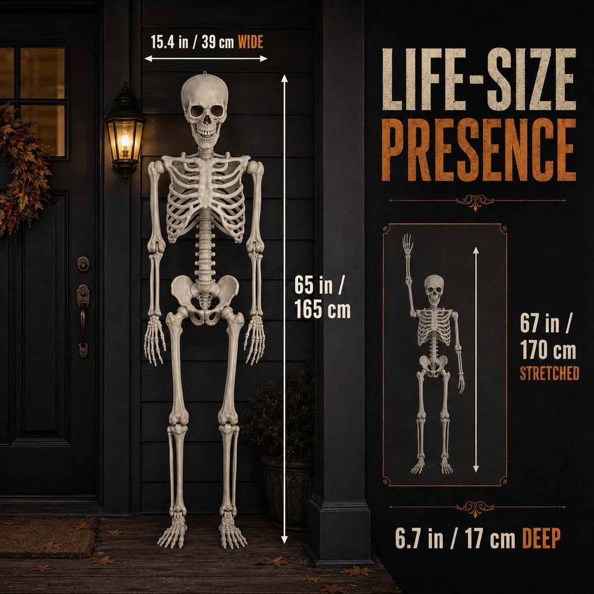 Life Size Poseable Skeleton with Movable Joints D765