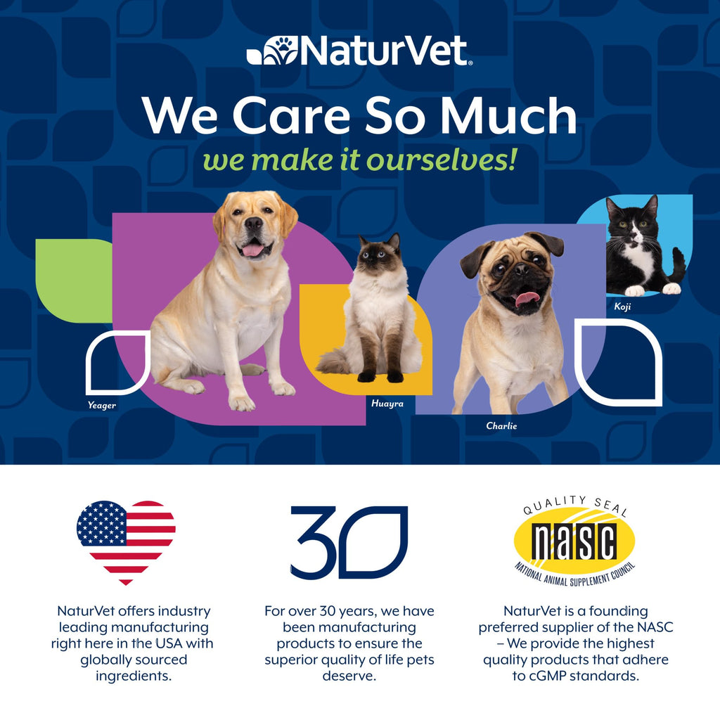 Hairball Aid Supplement for Cats Soft Chews M504