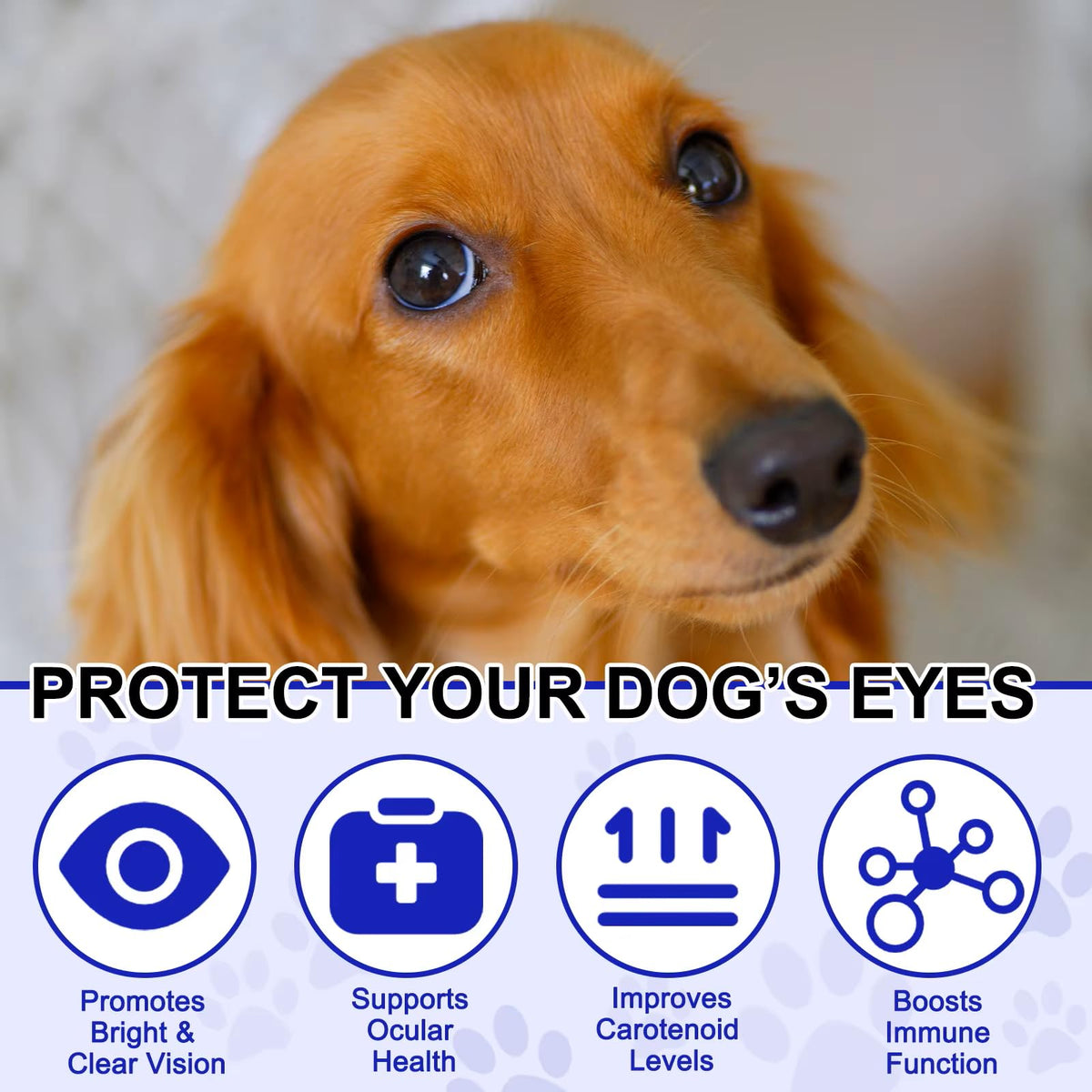 Omega 3 DHA Dog Eye Health Supplements, 180 Count I10938