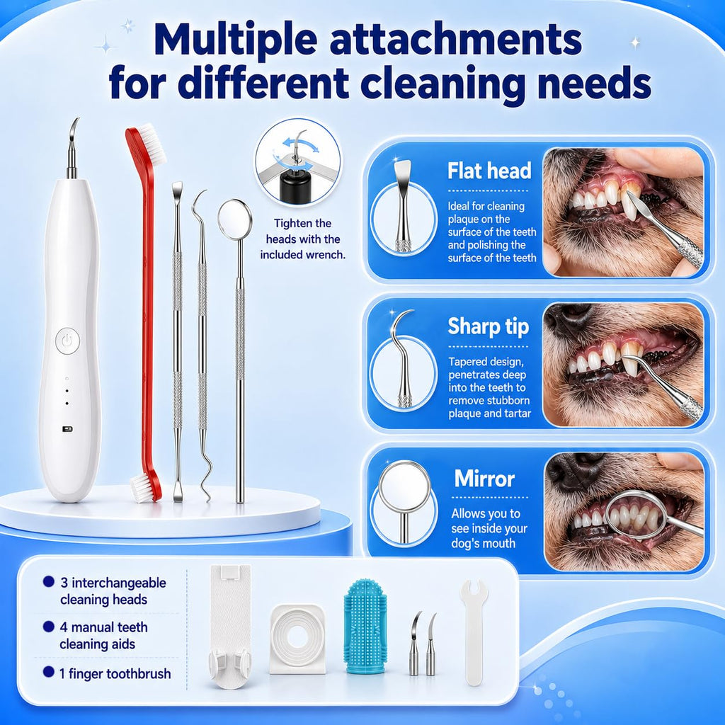 Dog Tartar Ultrasonic Teeth Cleaning Kit S417919