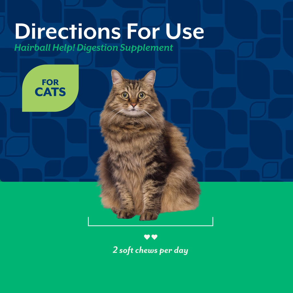 Hairball Aid Supplement for Cats Soft Chews M504