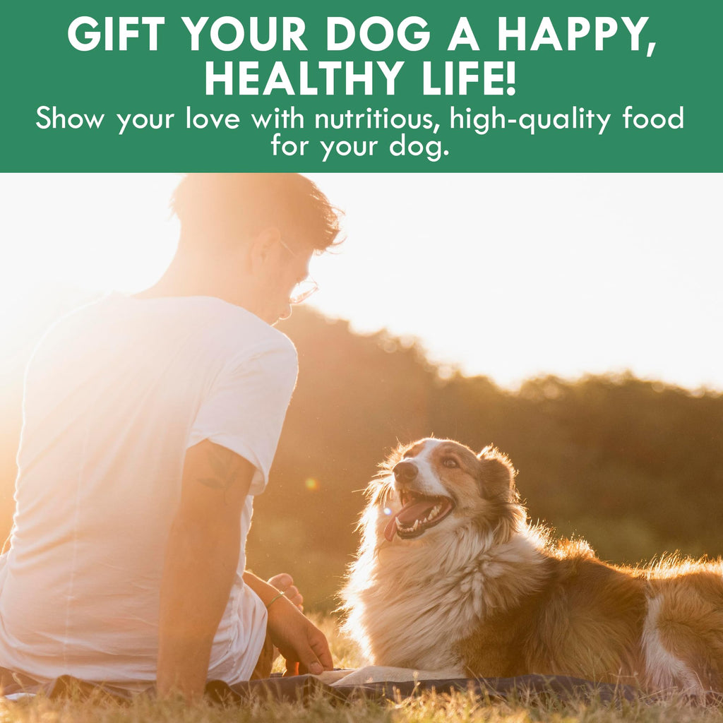 Plant-Based Dog Food Toppers Supplement Powder 50g I2316