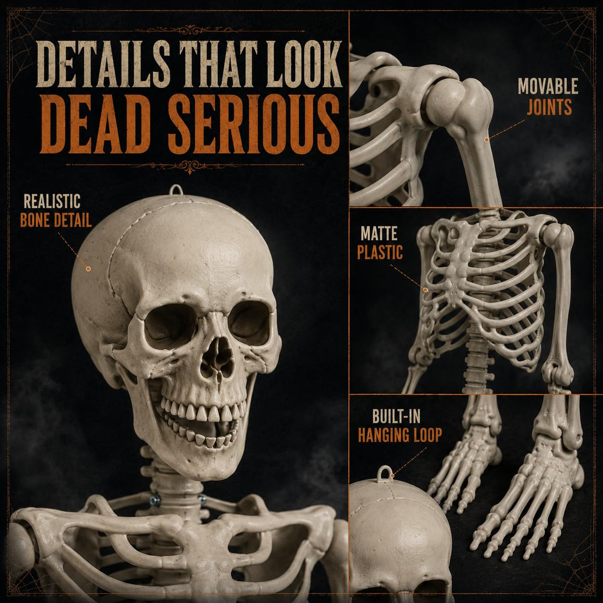 Life Size Poseable Skeleton with Movable Joints D765