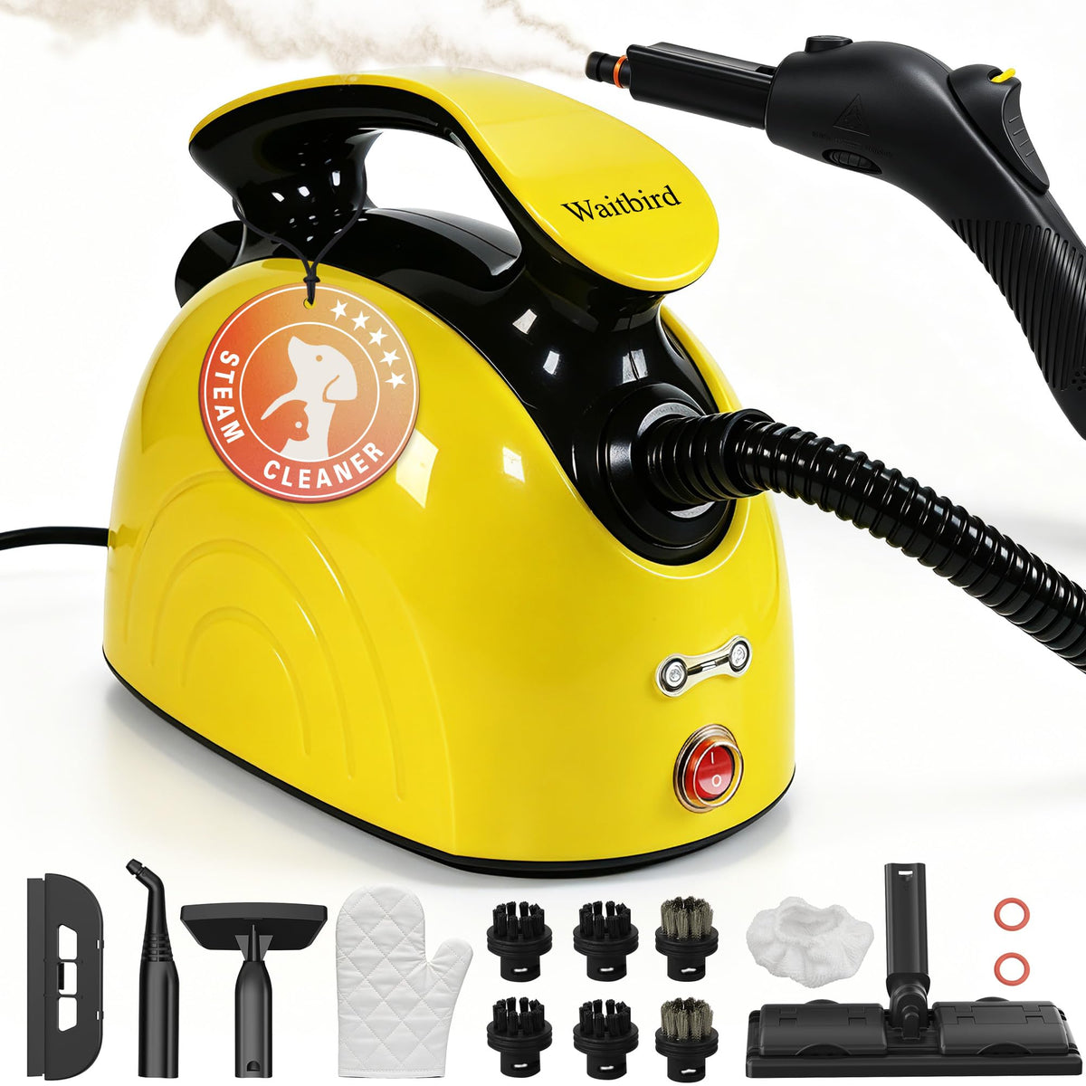 4.5 Bar 300°F Steam Cleaner I2046