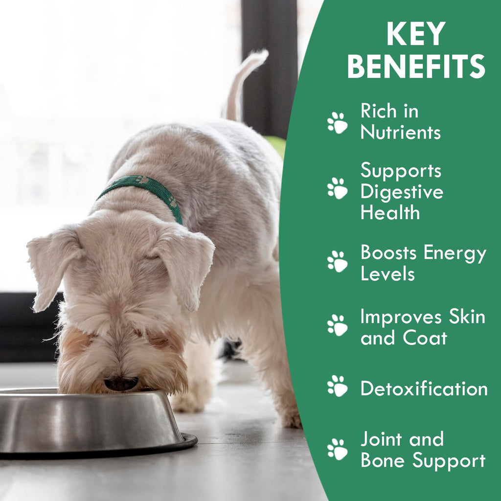 Plant-Based Dog Food Toppers Supplement Powder 50g I2316