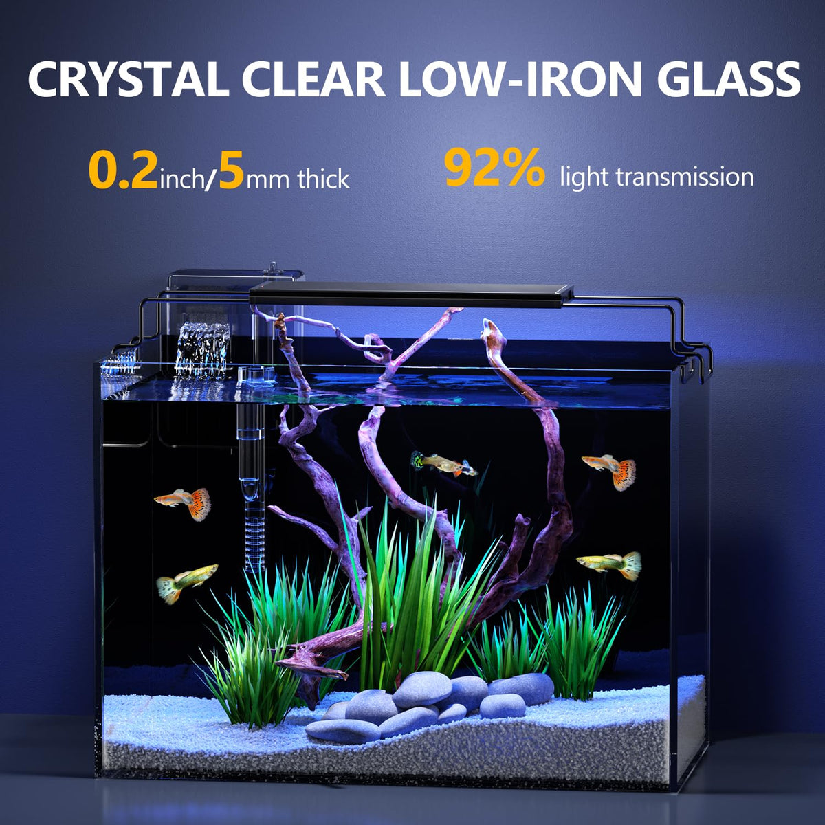 5 Gallon Glass Fish Tank Kit with Filter Light M1468