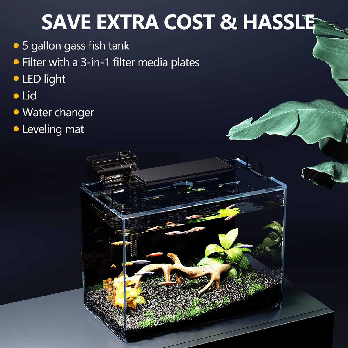 5 Gallon Glass Fish Tank Kit with Filter Light M1468