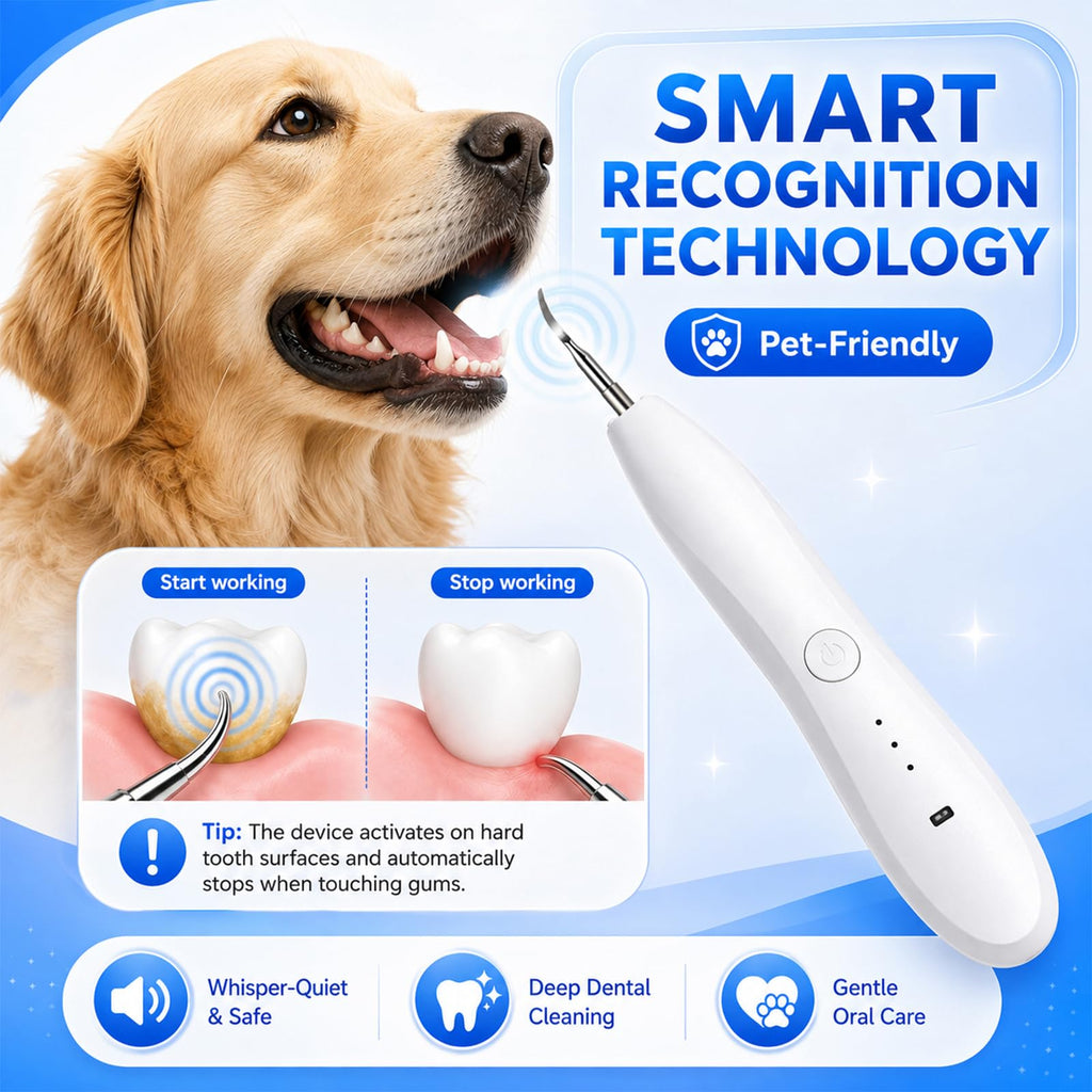 Dog Tartar Ultrasonic Teeth Cleaning Kit S417919