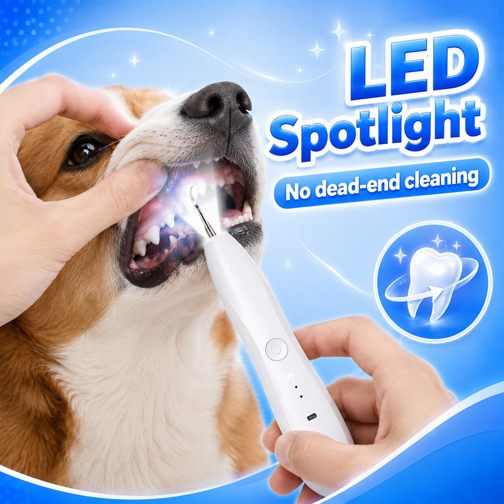 Dog Tartar Ultrasonic Teeth Cleaning Kit S417919