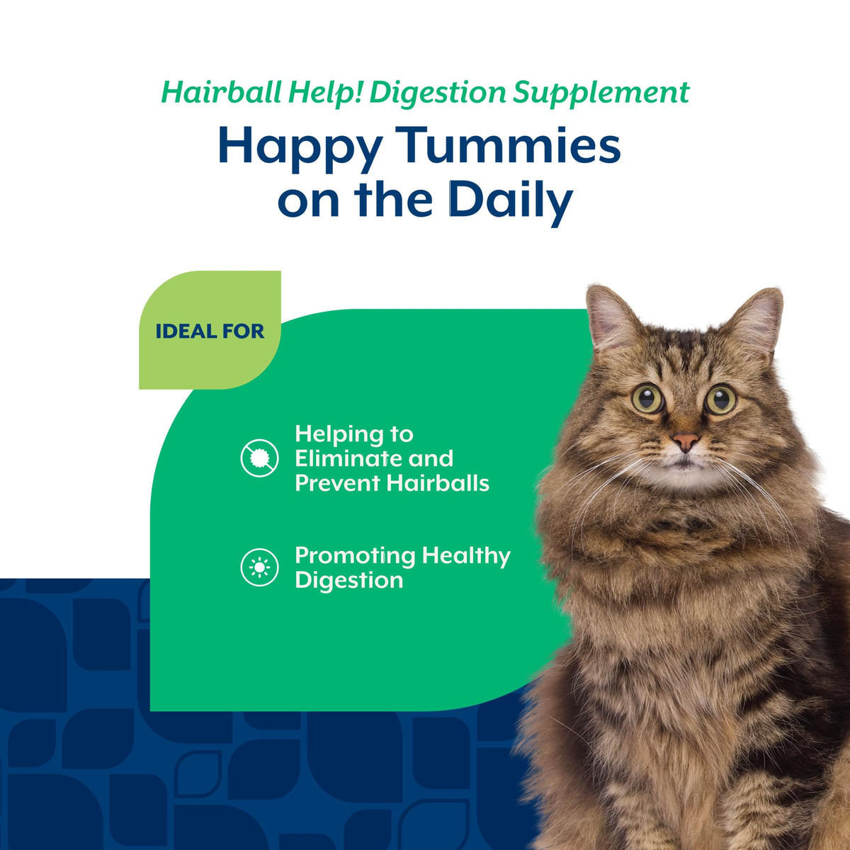 Hairball Aid Supplement for Cats Soft Chews M504