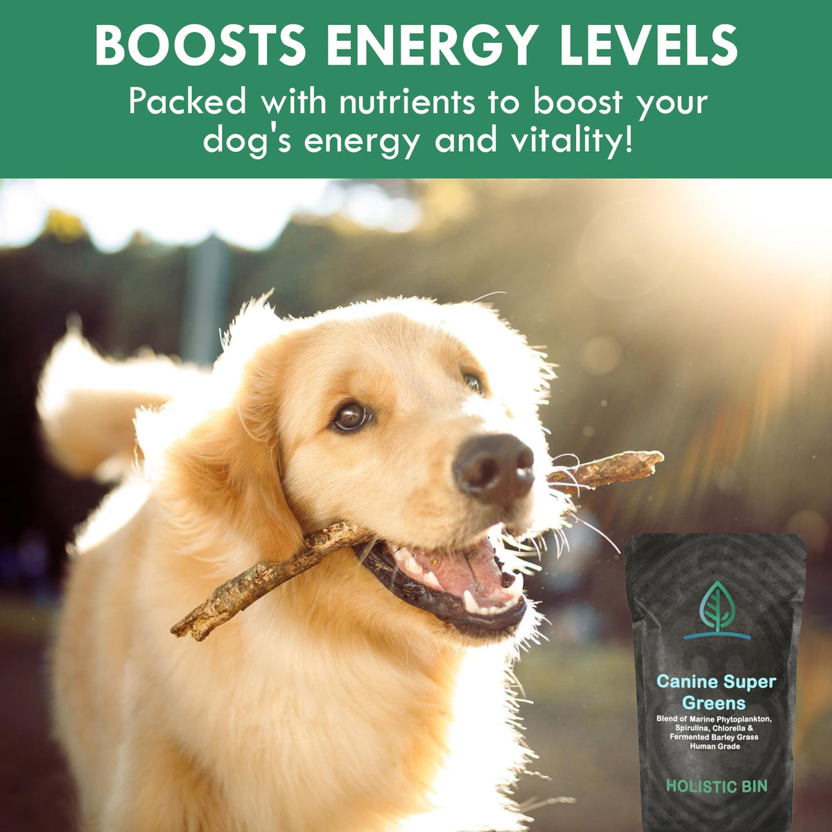 Plant-Based Dog Food Toppers Supplement Powder 50g I2316
