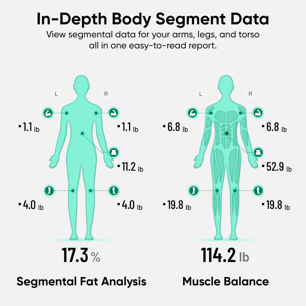 Wi-Fi & Bluetooth Body Composition Scale with Handle, 400 lbs, Black Y26580