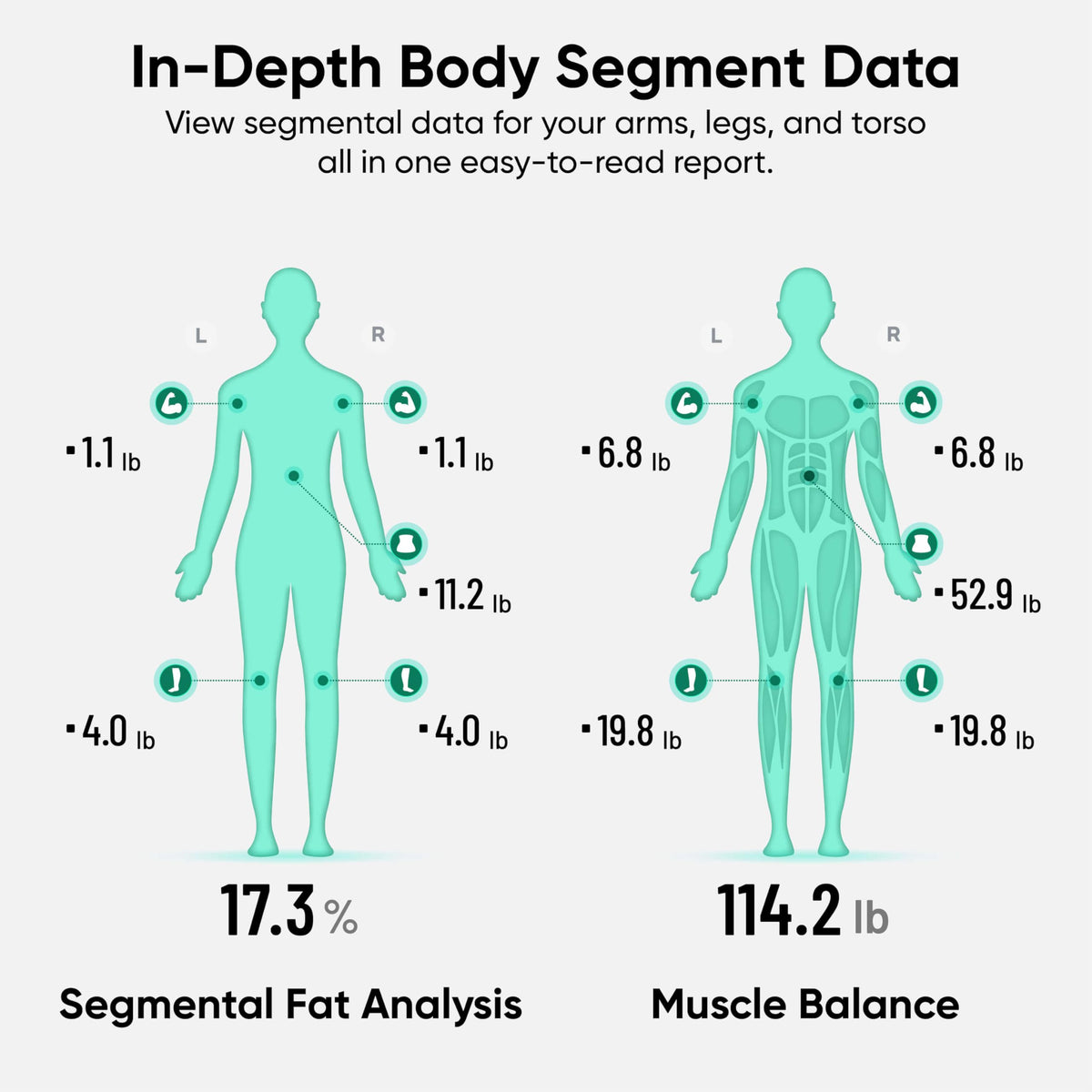 Wi-Fi & Bluetooth Body Composition Scale with Handle, 400 lbs, Black Y26580