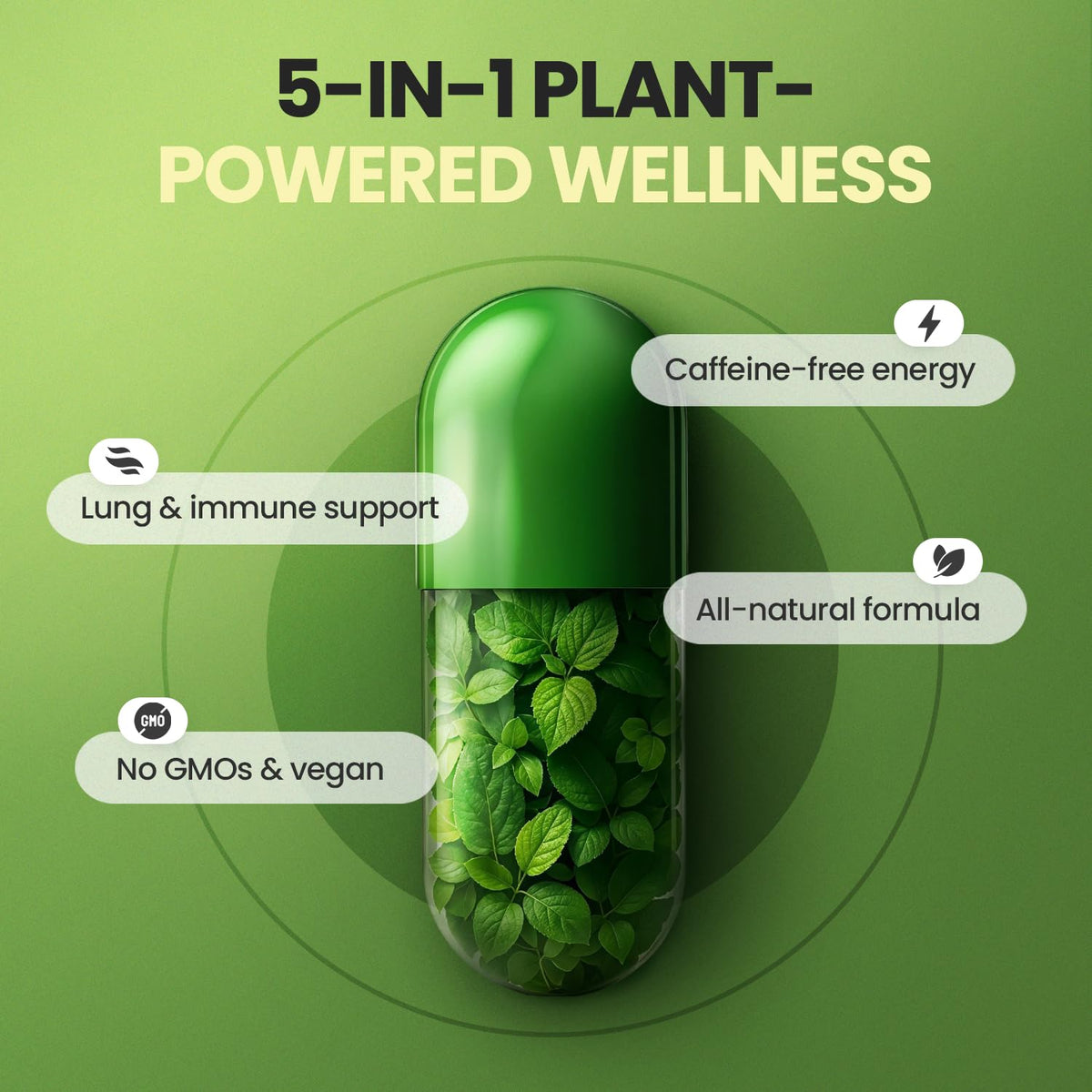 Moringa Beet Root Mullein Leaf Capsules I94083