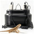 Reptile Light Fixture with Independent Switches I49389