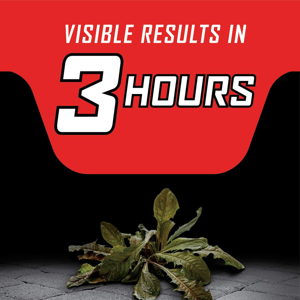 Year Long Vegetation Killer Concentrate 1 gal. Z6931