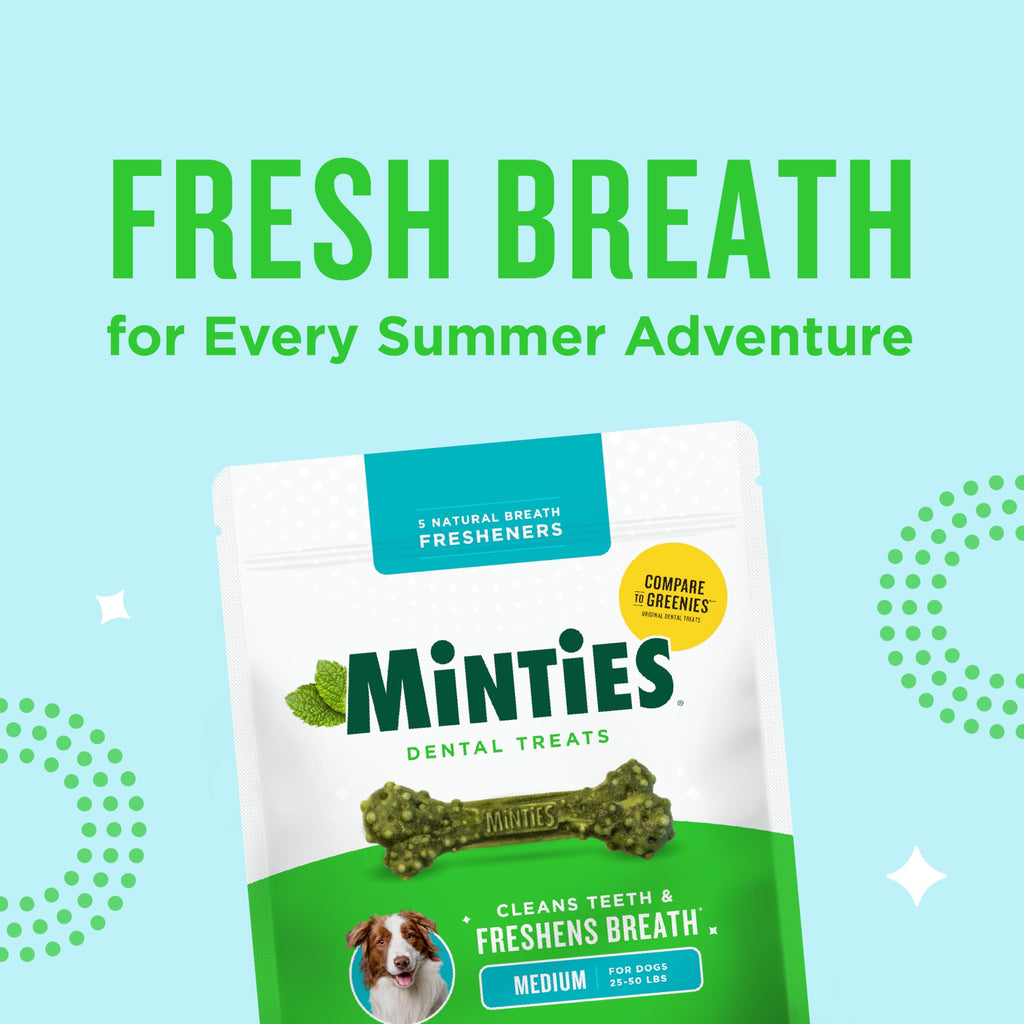 Mint Dental Chews for Dogs, 40 Ct L12456