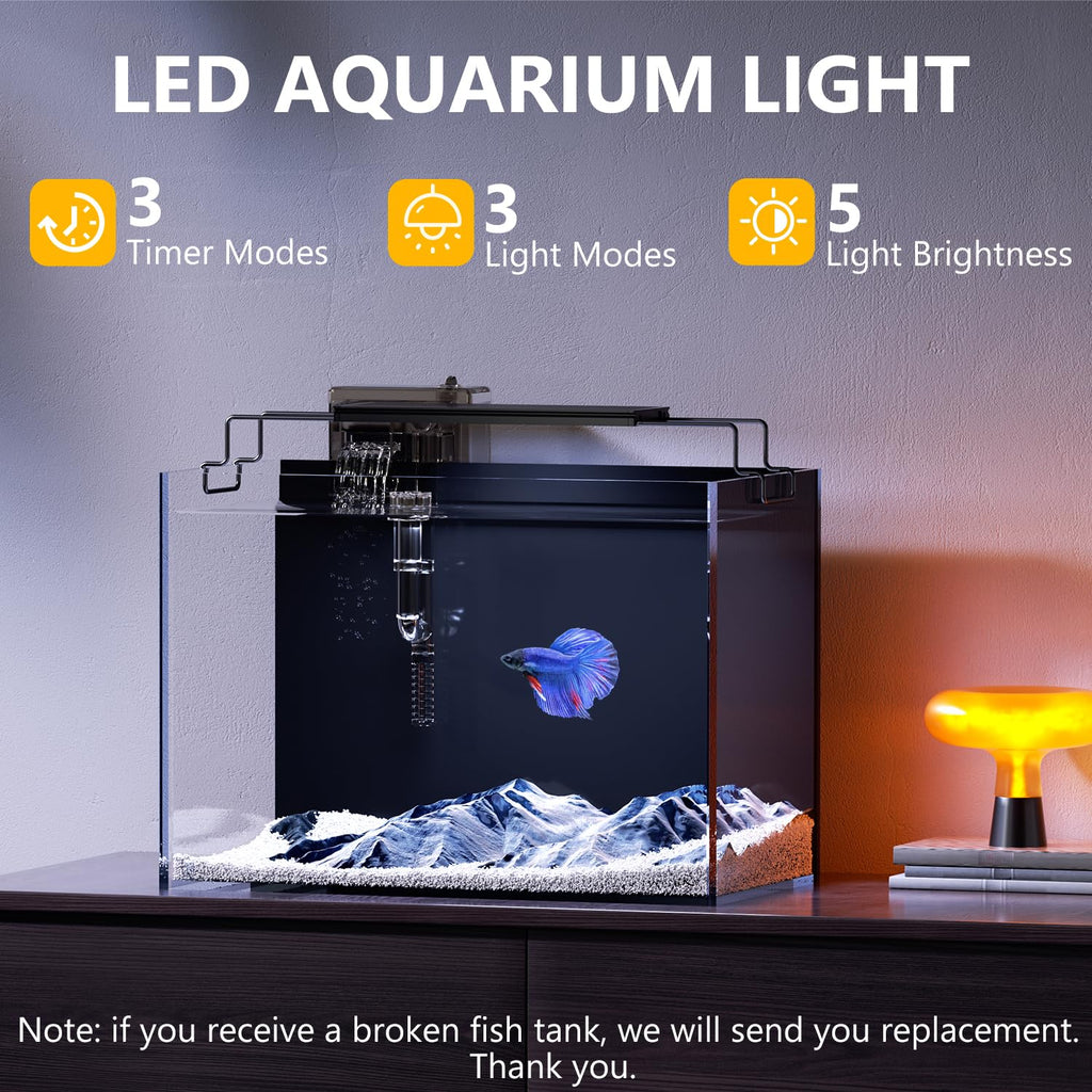 5 Gallon Glass Fish Tank Kit with Filter Light M1468