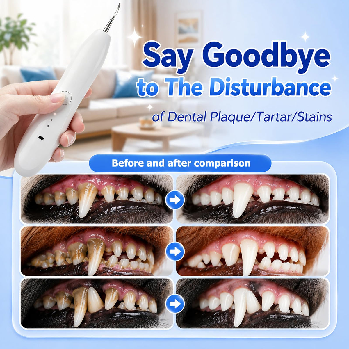 Dog Tartar Ultrasonic Teeth Cleaning Kit S417919