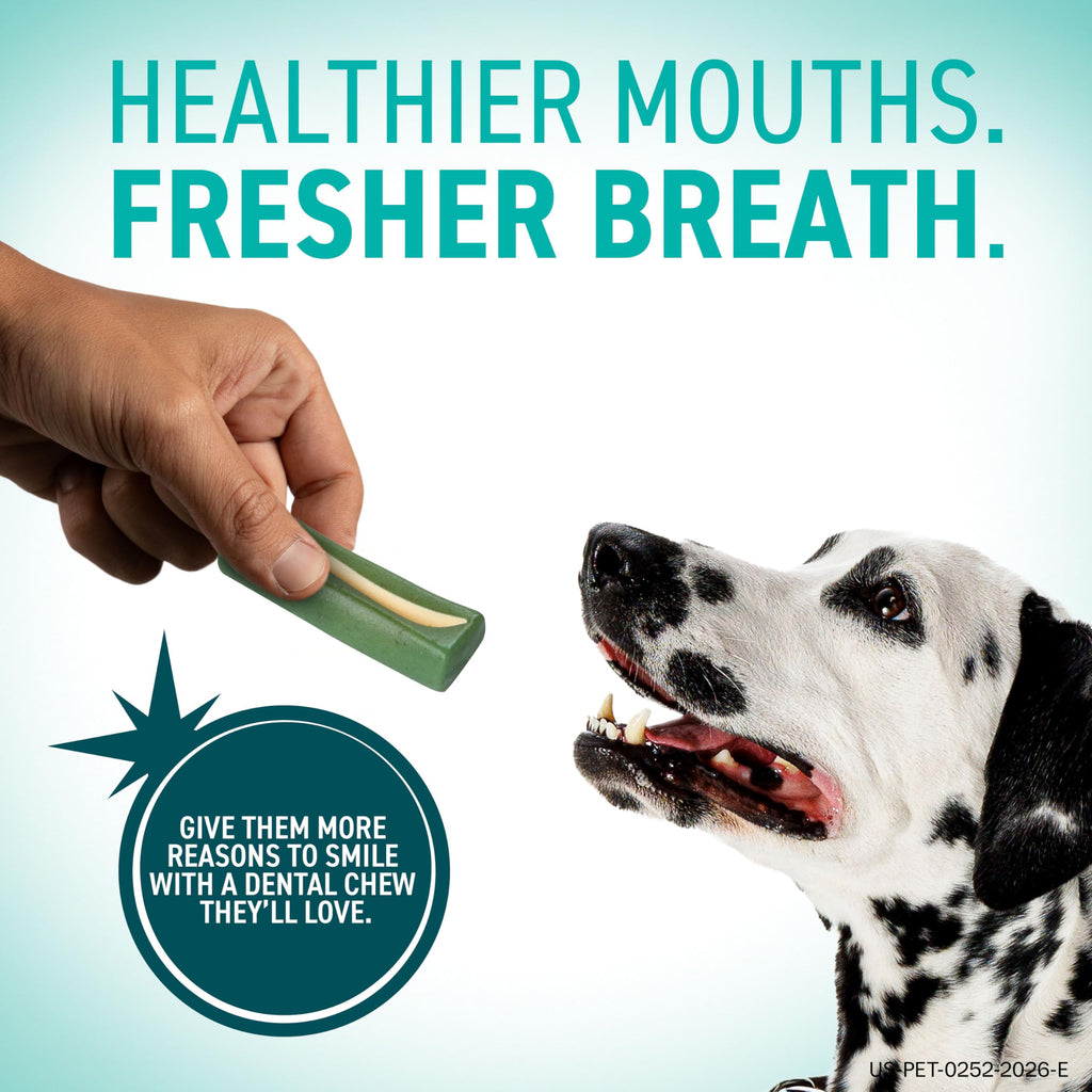 Dental Chews for Dogs 30 Count R19221