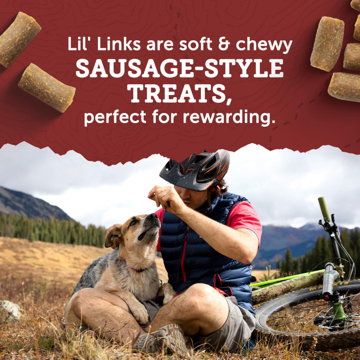 Chicken and Apple Recipe Dog Treats 6 oz M53997