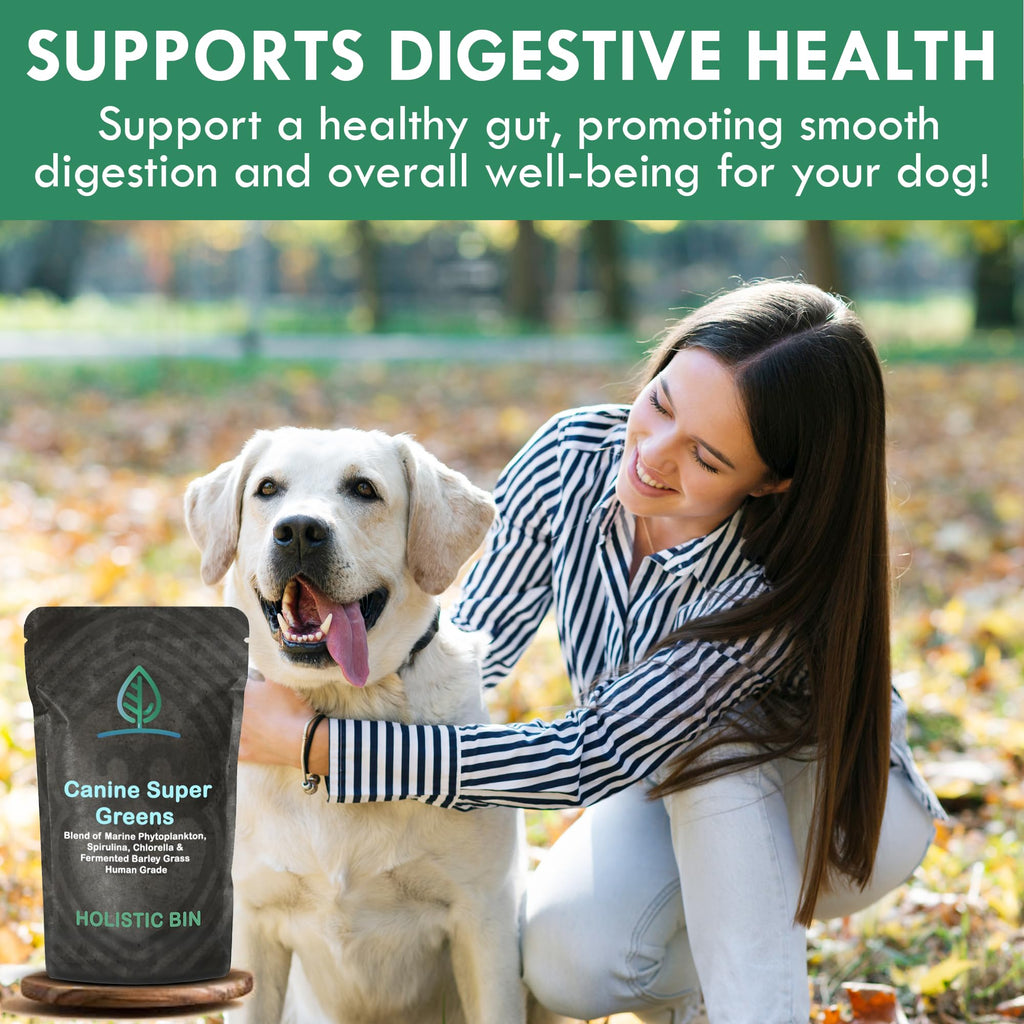 Plant-Based Dog Food Toppers Supplement Powder 50g I2316