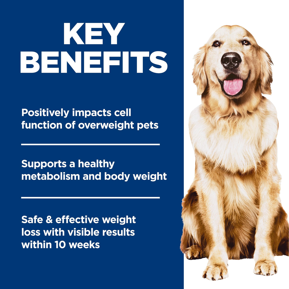 Dry Dog Food E5918