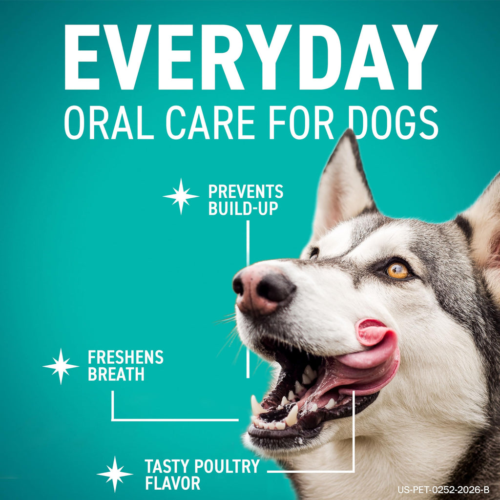Dental Chews for Dogs 30 Count R19221