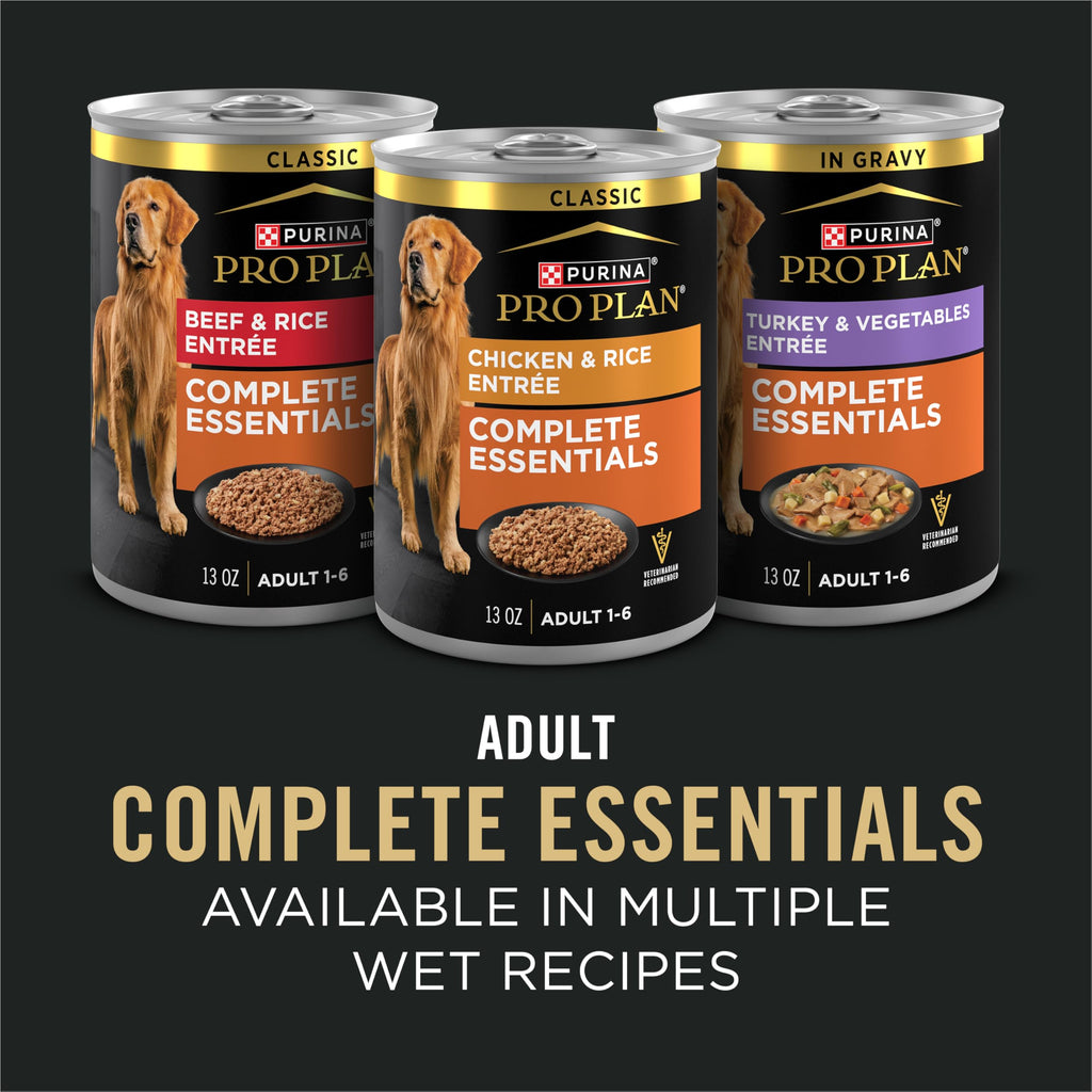 Salmon and Rice Dry Dog Food with Probiotics 15 lb Y40615