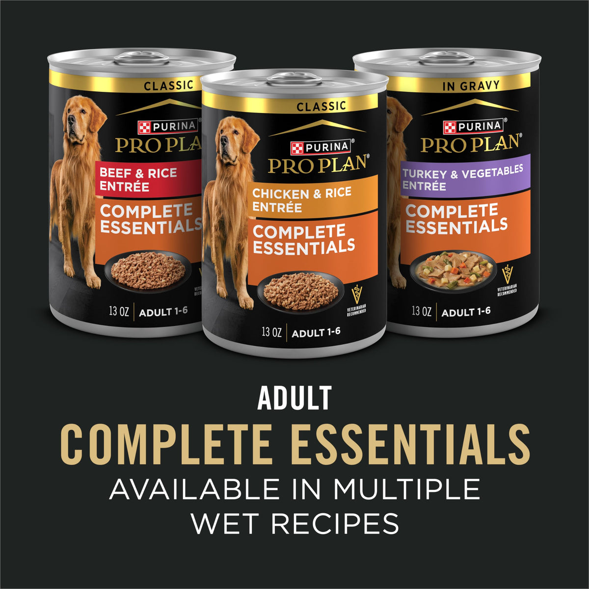 Salmon and Rice Dry Dog Food with Probiotics 15 lb Y40615