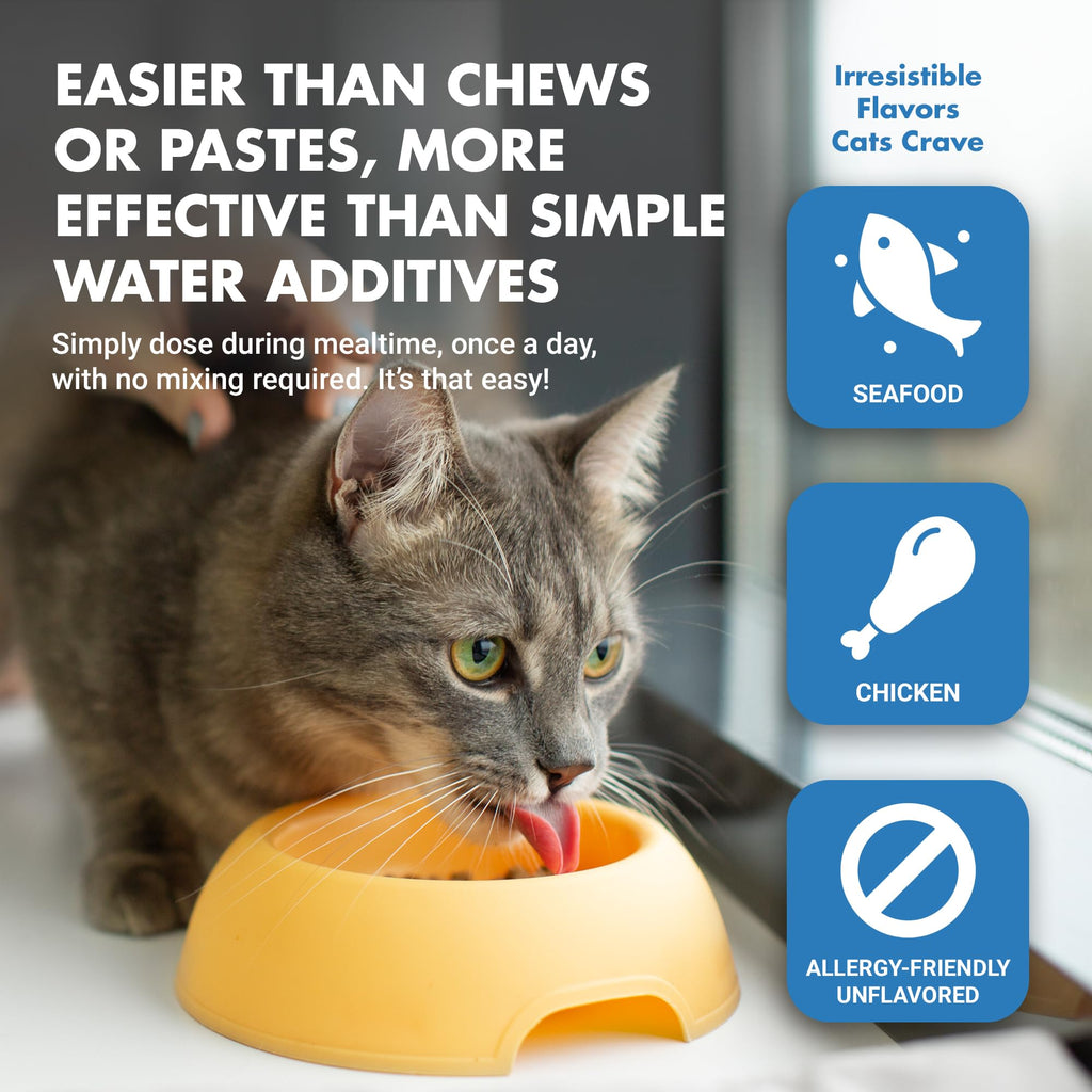 Cat Teeth Cleaning Dental Care X642