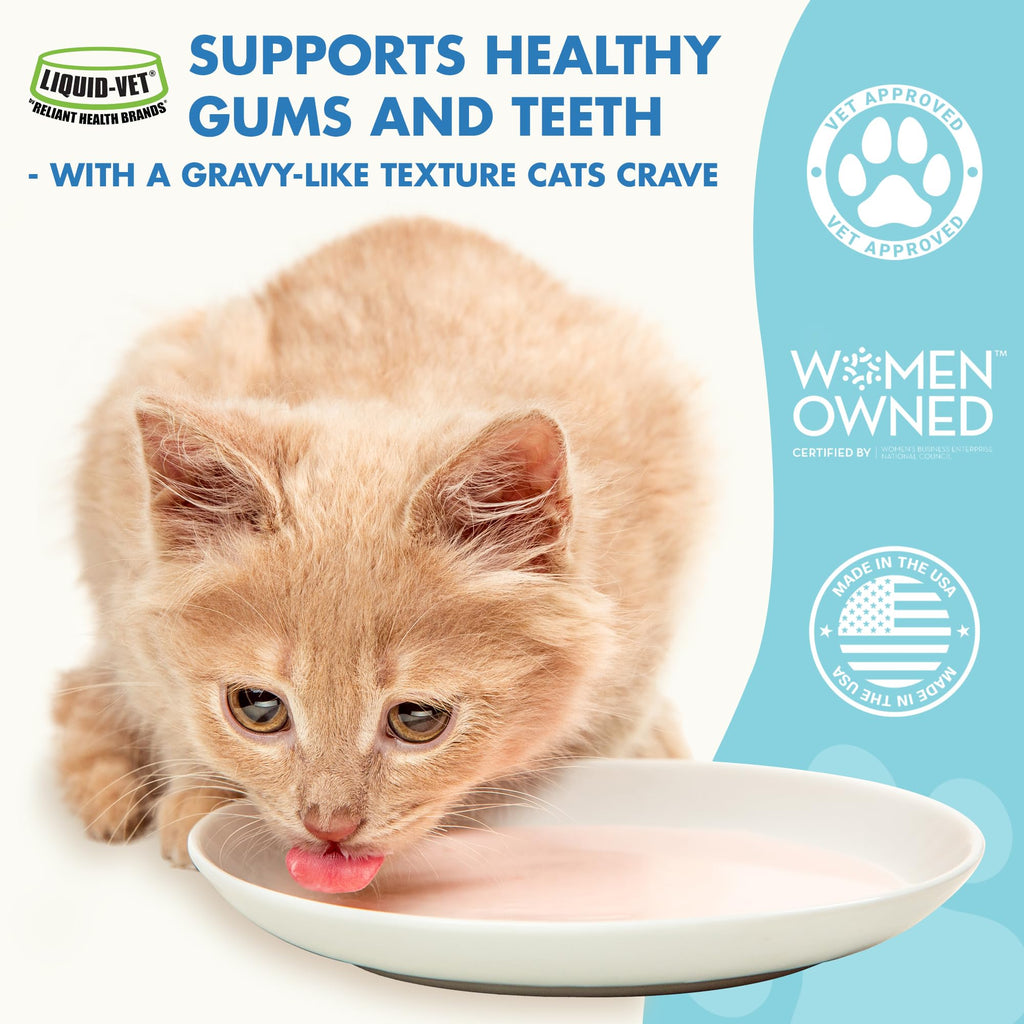 Cat Teeth Cleaning Dental Care X642