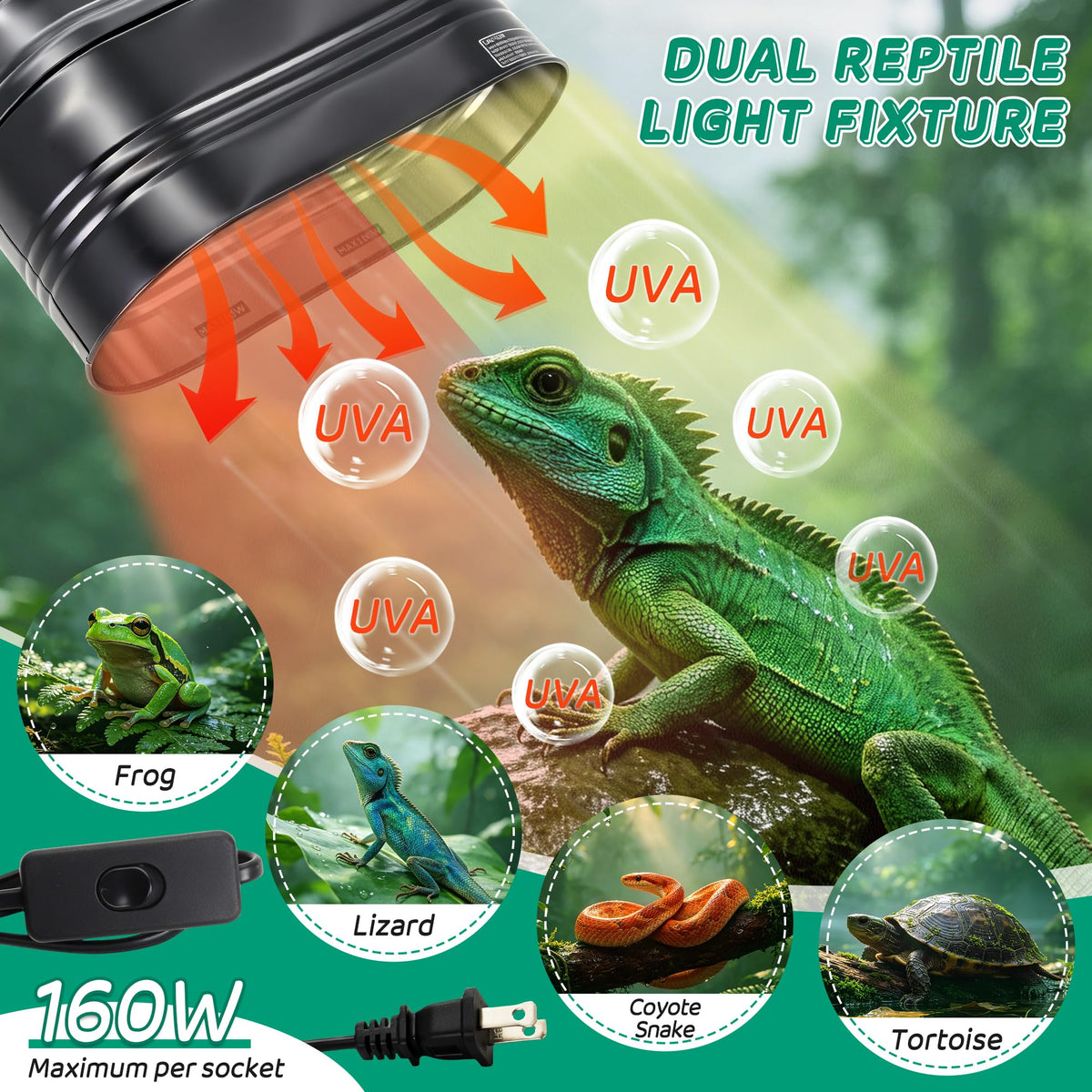 Reptile Light Fixture with Independent Switches I49389