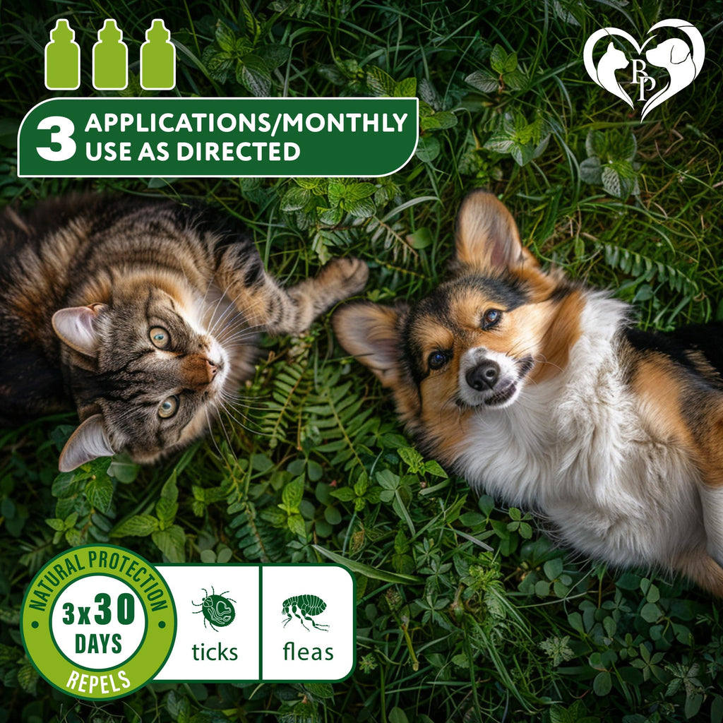 Flea & Tick Spot-On Drops for Dogs and Cats 3 Supply Pack J249683