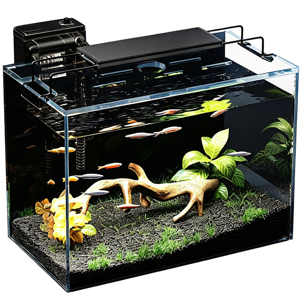 5 Gallon Glass Fish Tank Kit with Filter Light M1468